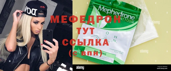 мдпв Бородино
