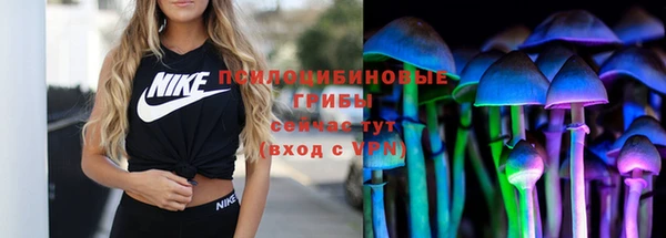 стаф Бронницы