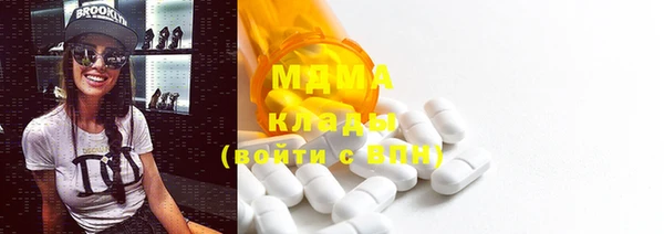 мдпв Бородино