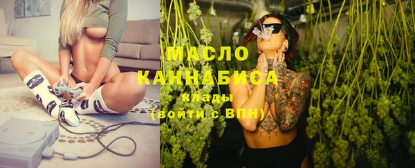 мдпв Бородино
