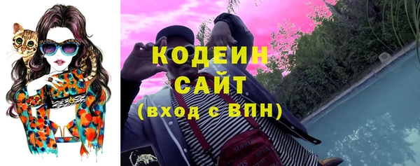мдпв Бородино