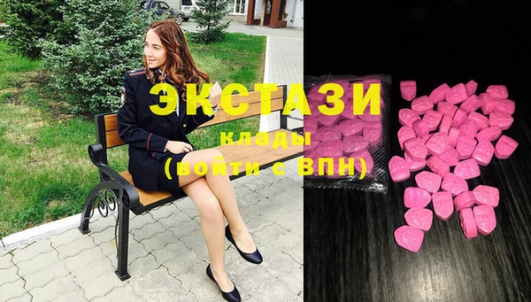 мдпв Бородино