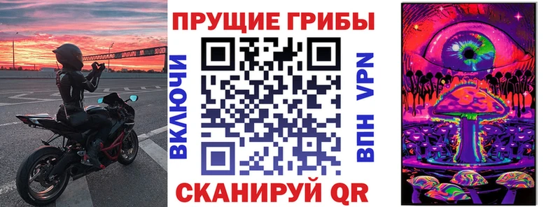 Псилоцибиновые грибы мицелий  Ростов 